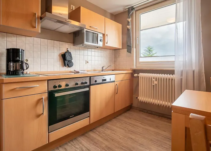 公寓 Schwalbennest 维林根